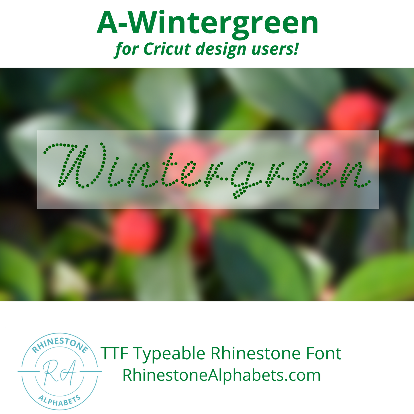 A-Wintergreen Cricut Sized OTF/TTF Font