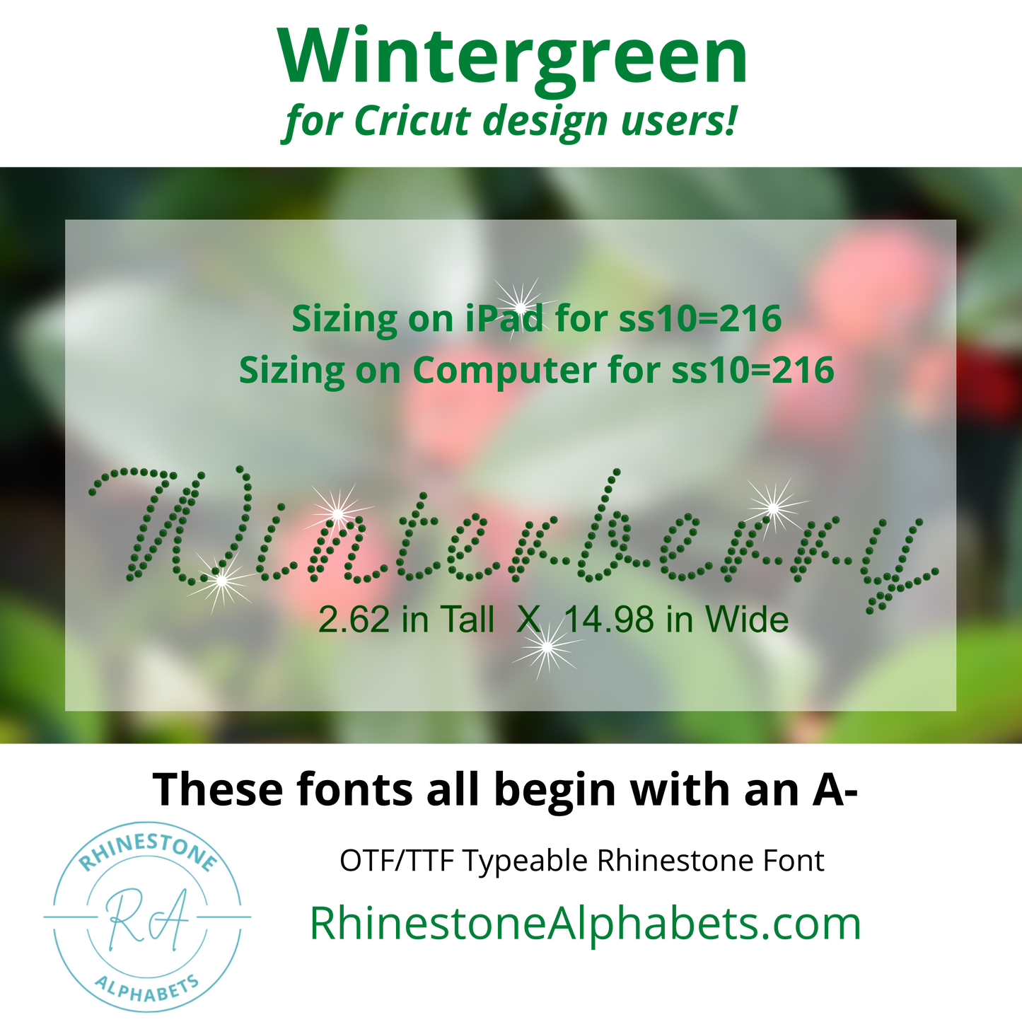 A-Wintergreen   Cricut Sized OTF/TTF  Font